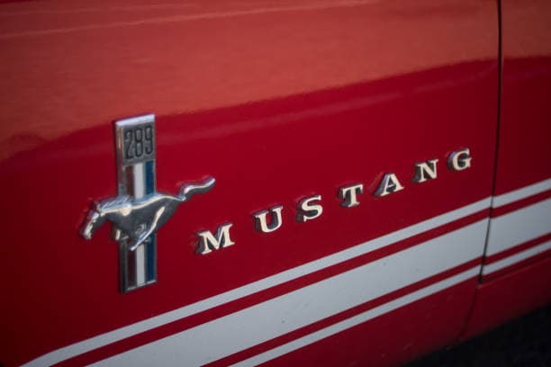 Top Mustang Owner Clubs You Should Join  Drive Together, Stay Connected – Mustang Clubs Await